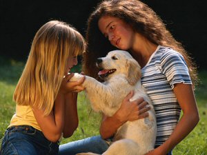 Golden Retriever puppy with children