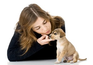 girl touching a puppy's chin