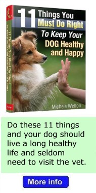 Dog books written by Michele Welton
