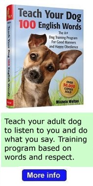 Dog books written by Michele Welton