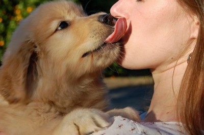 Puppy licking owner's face