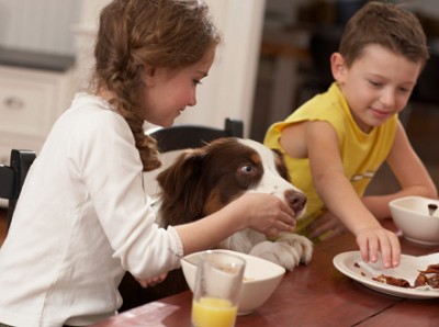 Kids feeding dog from the table
