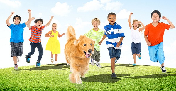 Golden Retriever with group of kids