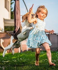 Over-excited dog jumping on child's back