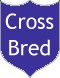 Crossbred dogs