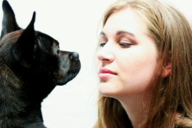 Girl and dog communicating