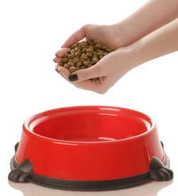 NOT the best dog food for your dog