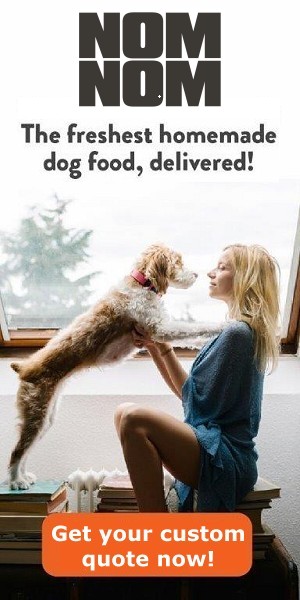 Nom Nom homemade dog food