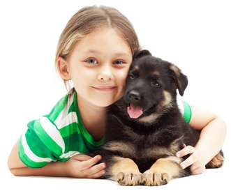Child with German Shepherd puppy