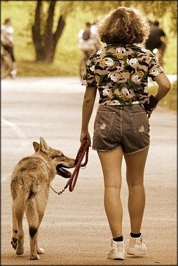 heeling dog beside woman