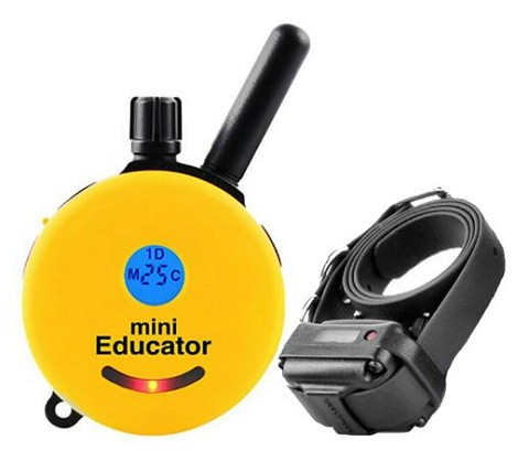 Mini Educator remote collar