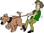 dog pulling owner