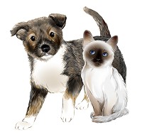 puppy and siamese cat