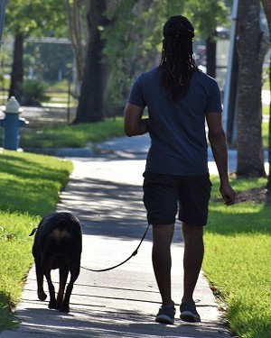 man walking his dog on a leash