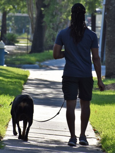 dog walking with owner on loose leash