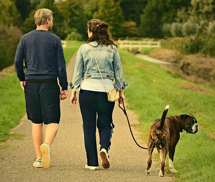 owners walking with their dog on a loose leash