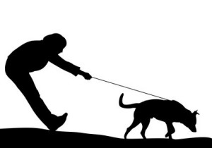 dog pulling owner on leash