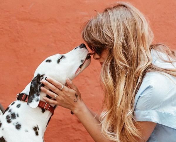 dalmatian giving his owner a kiss