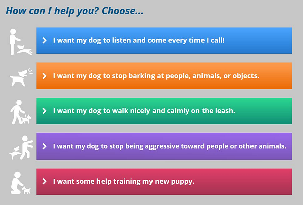 screenshot of Doggy Dan's website